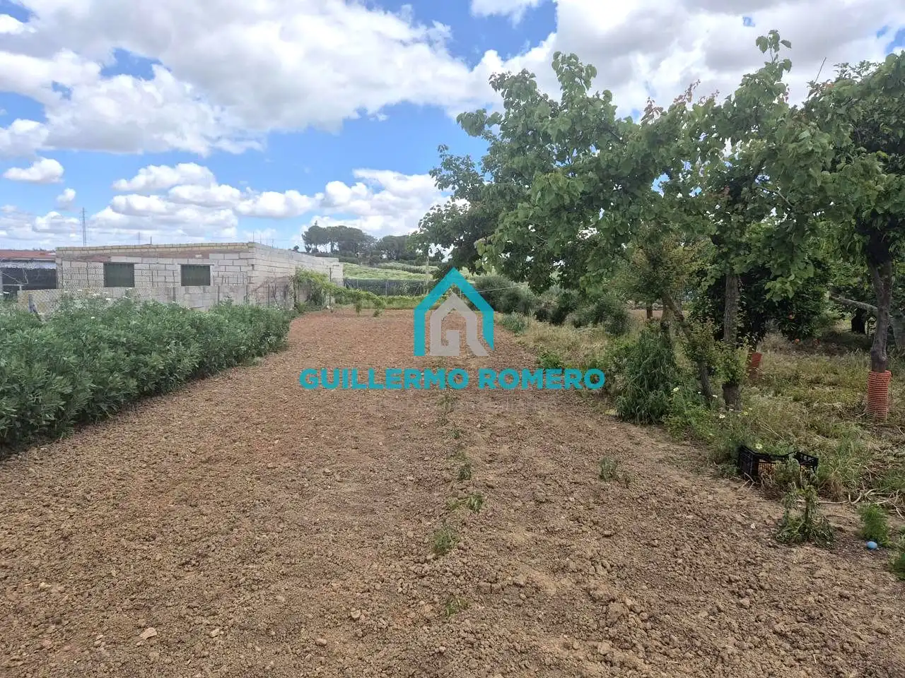 Finca rústica en venta en Coria del Río