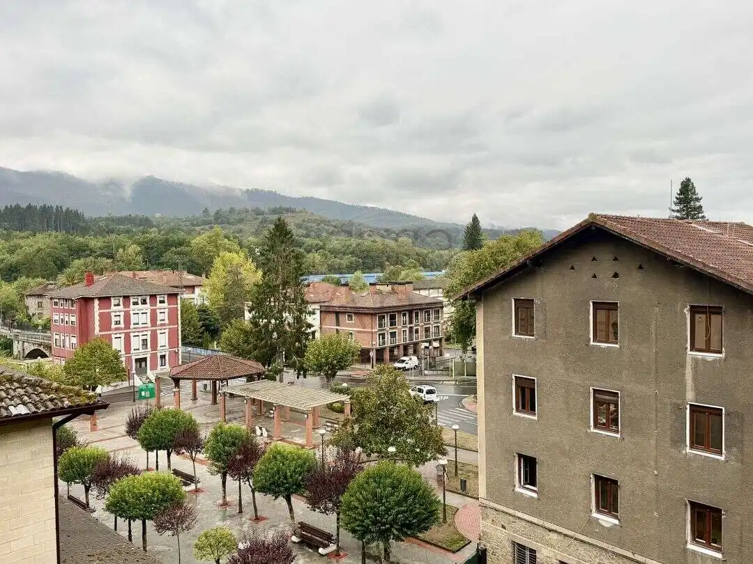 Appartement avec ascenseur à vendre à Euskadi Plaza, imagen 4