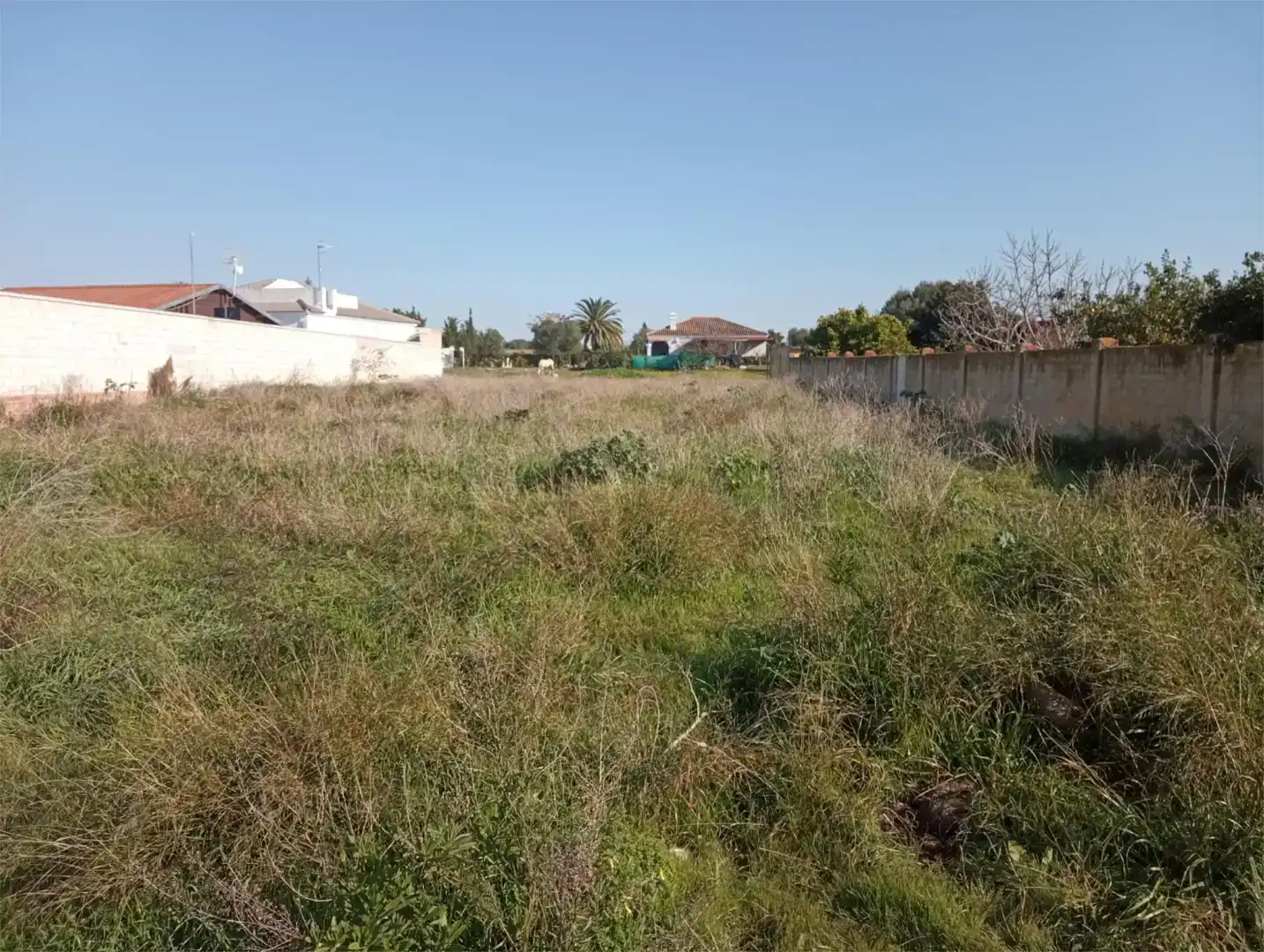 Finca rústica en venda en Sanlúcar de Barrameda
