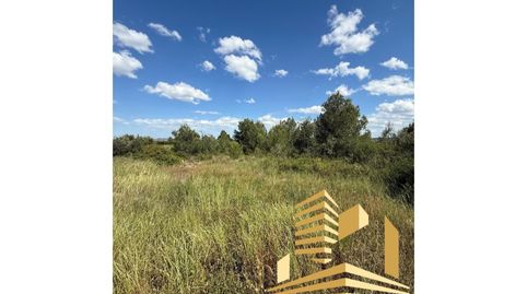 PARCELA EN VENTA EN COSCOJAR GODELLETA, imatge 2