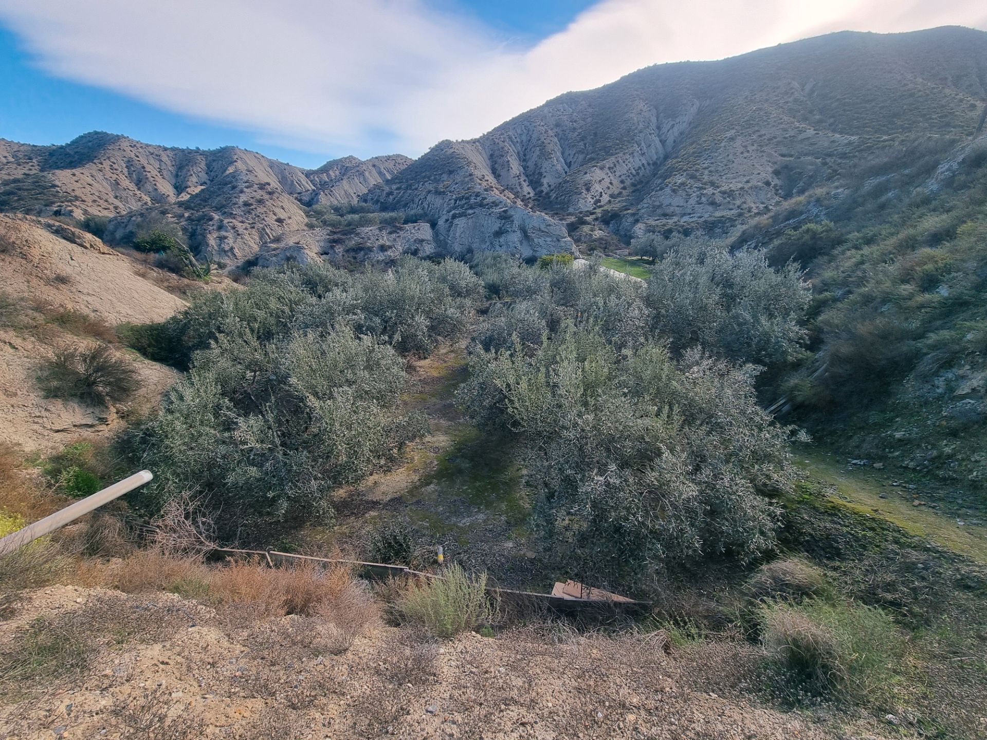 Exterior view of Land for sale in Terque