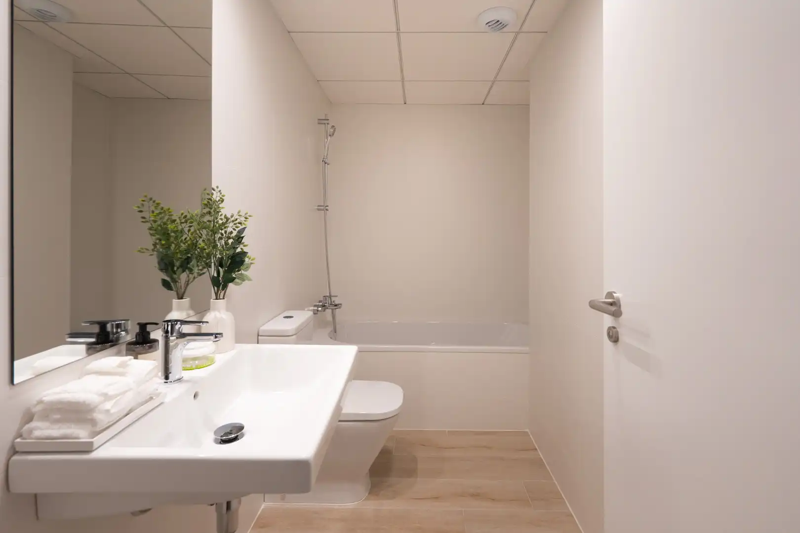 Apartments for sale in Centro ciudad
