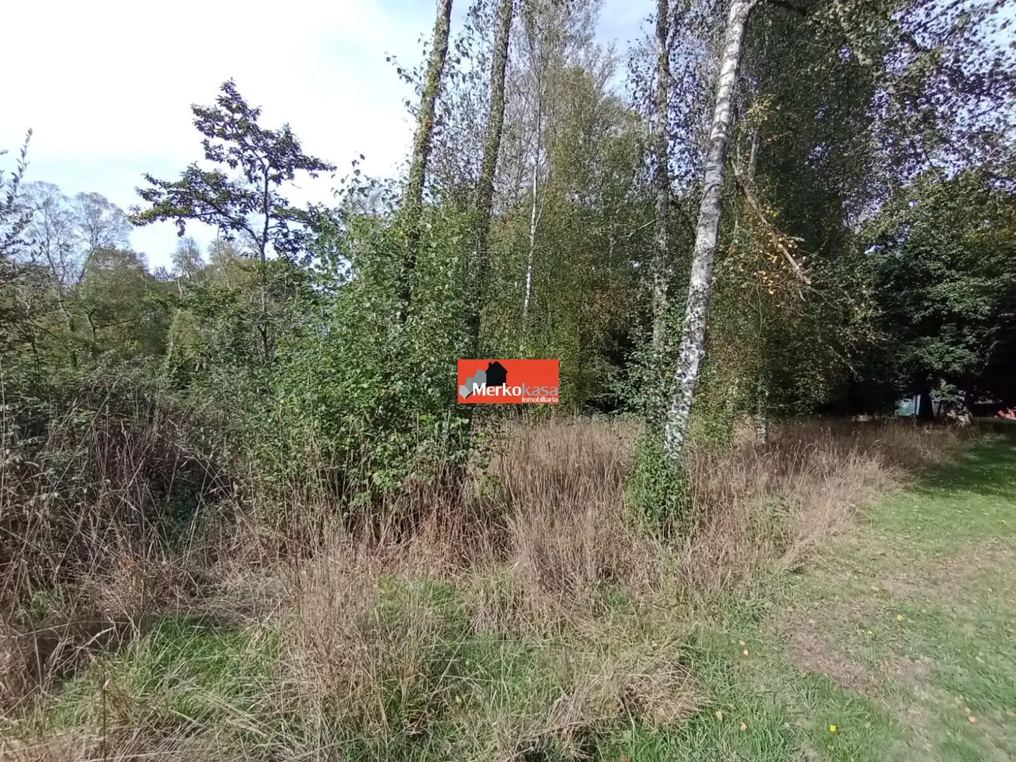Finca rústica en venda en Begonte amb Jardí privat