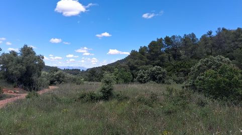 Espectacular finca de secano en las afueras de Rasquera, immagine 5