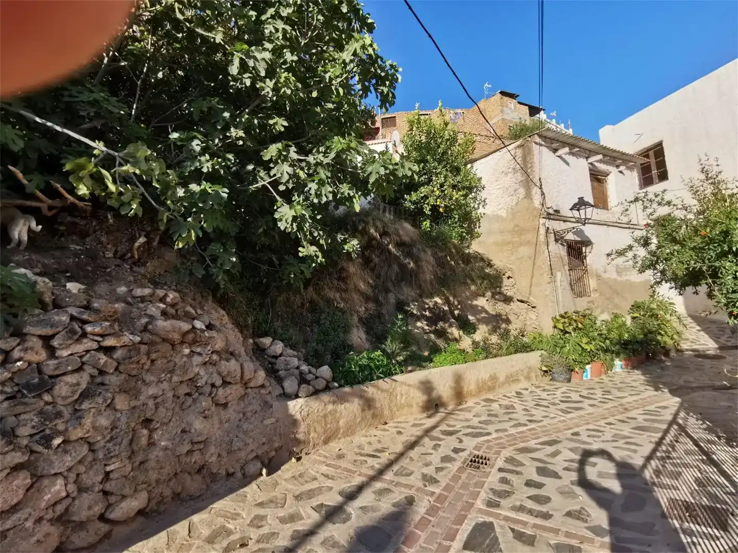 Vista exterior de Planta baja en venta en Los Guájares, Granada
