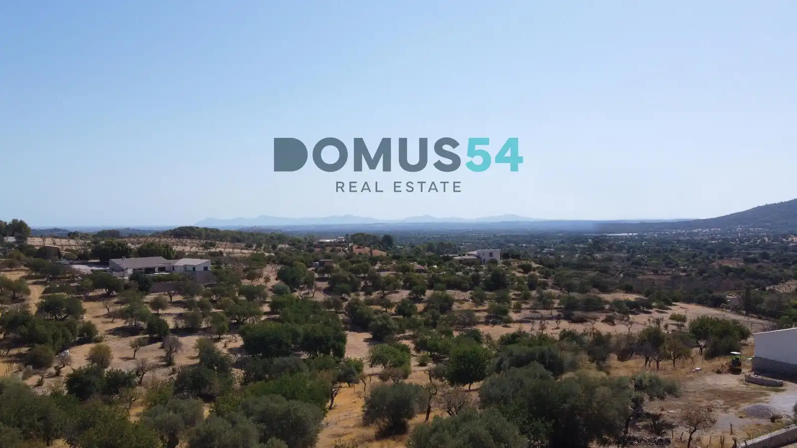Land for sale in Selva