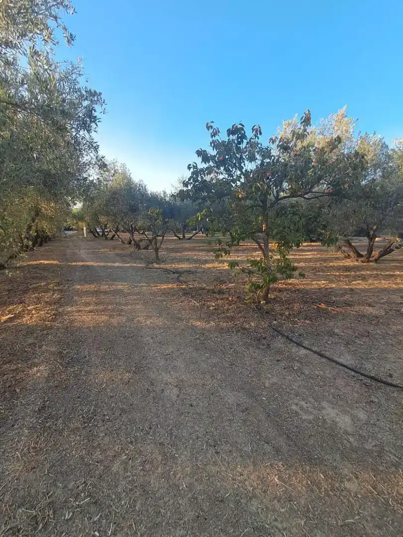 Casa o xalet en venda en Albolote amb Aire condicionat, Jardí privat i Traster