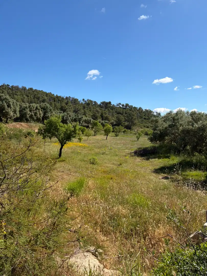 Finca rústica en venda en Ascó amb Aire condicionat, Calefacció i Piscina