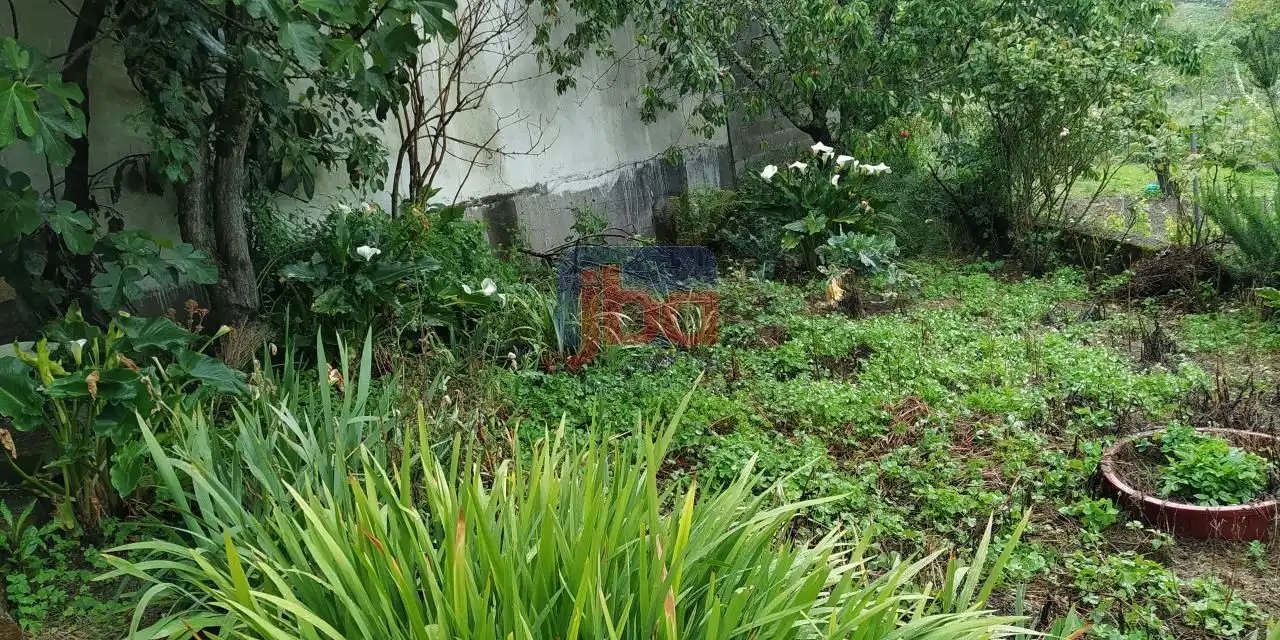 Casa o chalet en venta en Castrelo de Miño con Calefacción y Amueblado