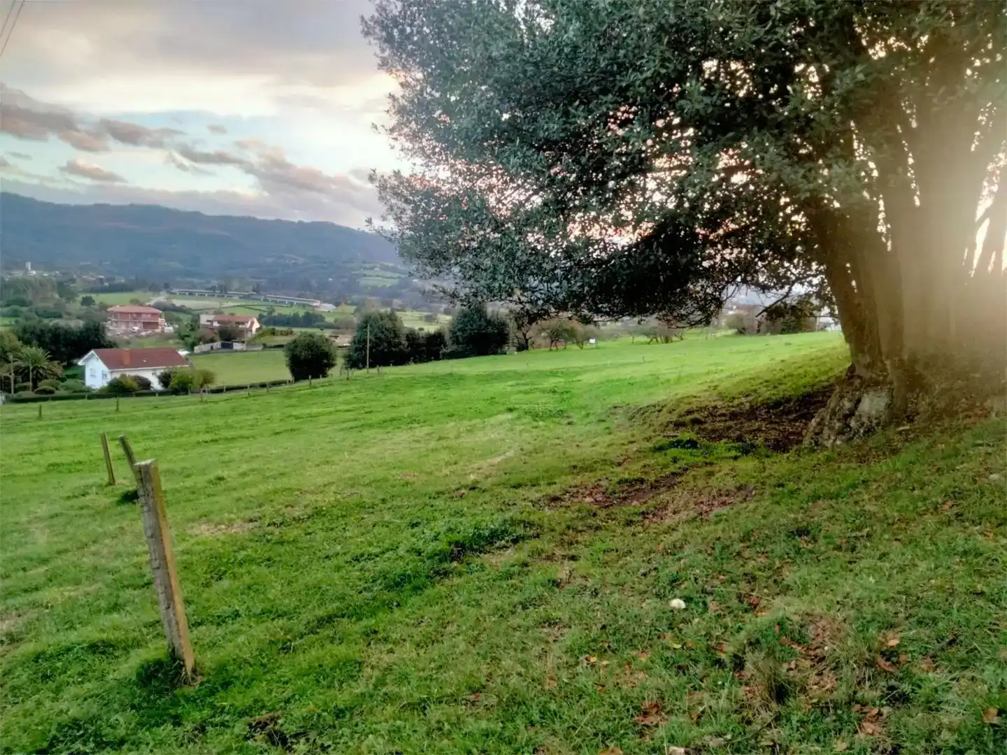 Casa o chalet en venta en Llanera