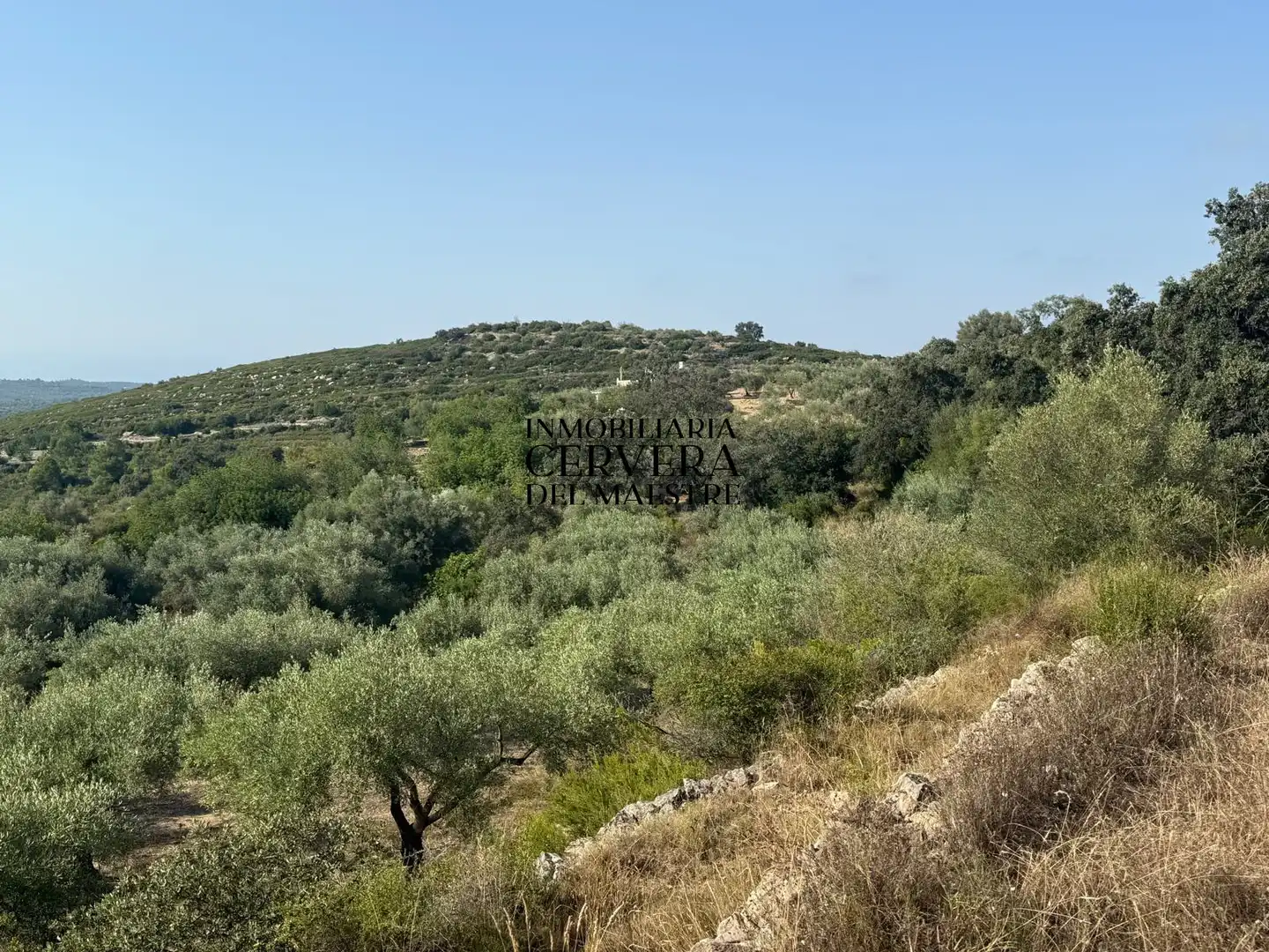 Terreno rustico in vendita a Cervera del Maestre, imagen 10
