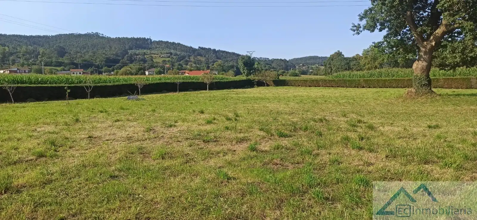 Finca rústica en venta en Barrio el Bardal, Zurita