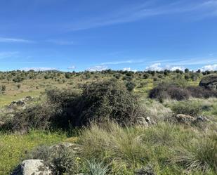 Finca rústica en venda en Villar del Pedroso