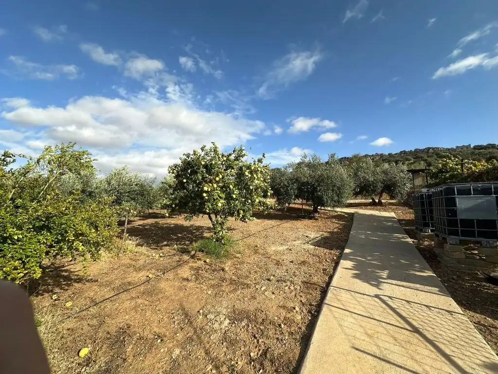 Casa o xalet en venda en Magacela amb Jardí privat, Terrassa i Piscina