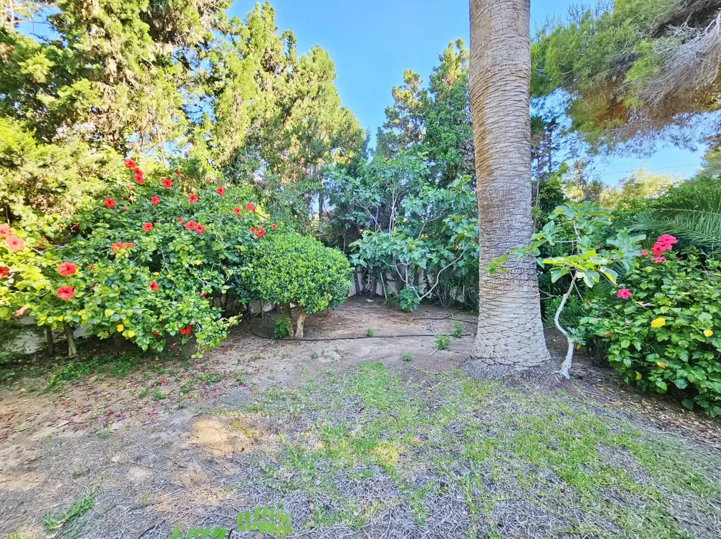Jardín de Casa o chalet en venta en Moraira con Aire acondicionado, Calefacción y Jardín privado