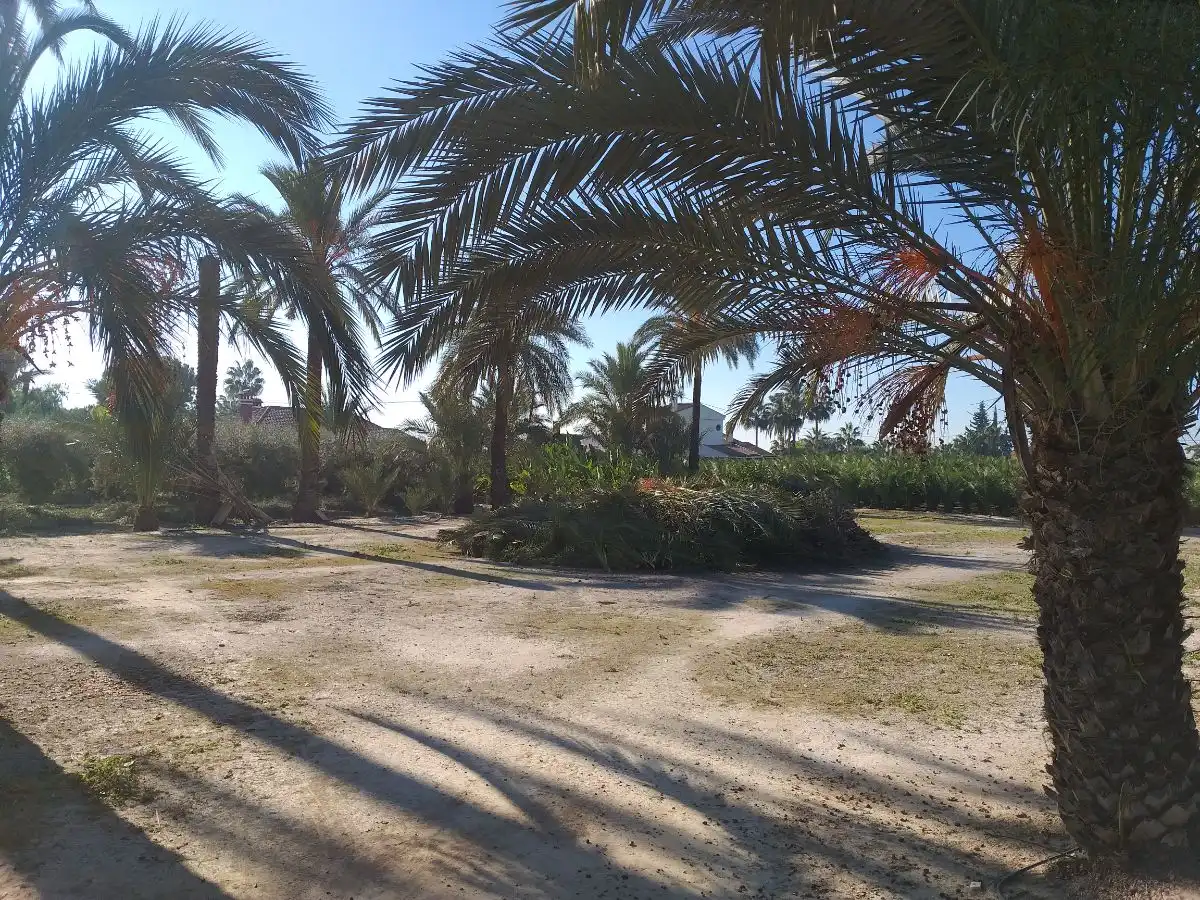 Casa o xalet en venda en Elche / Elx