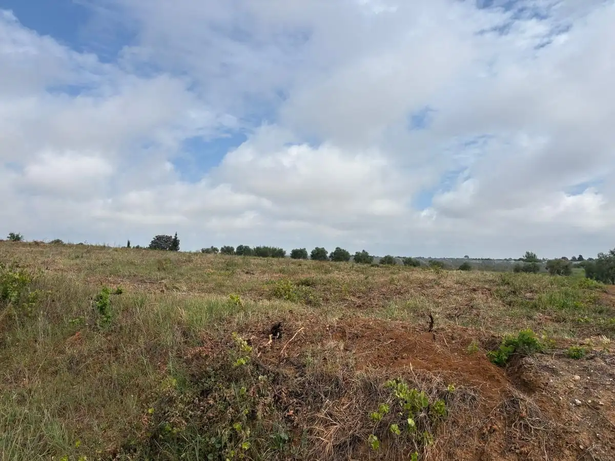 Terreno rustico in vendita a Almonte ciudad, imagen 9