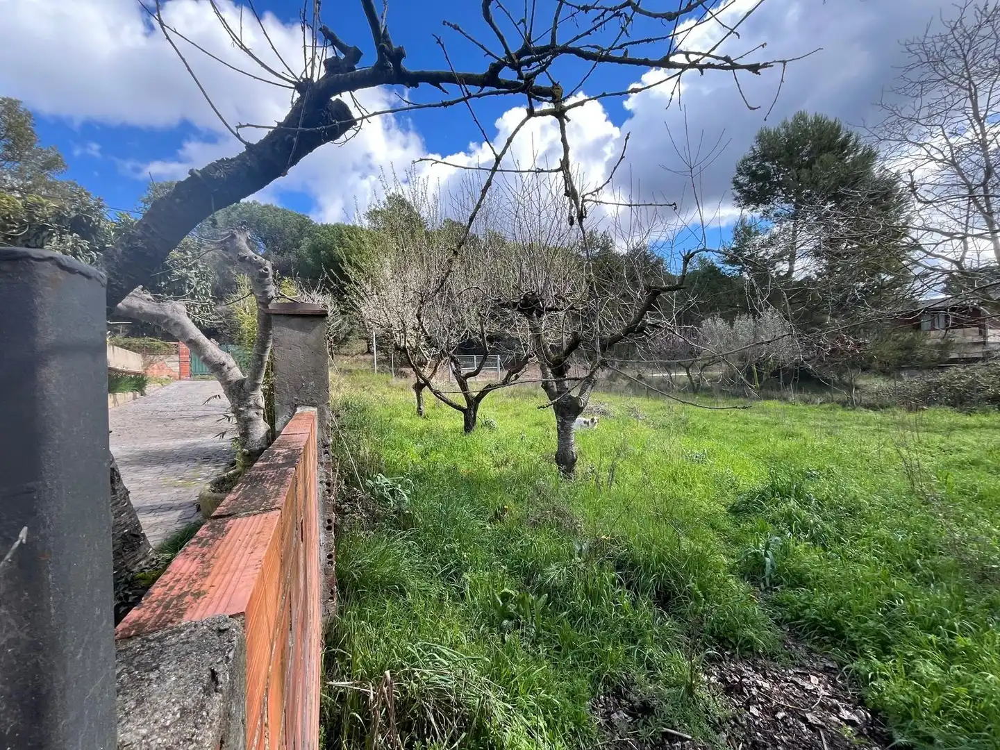 Terreno residencial en venta en El Bruc, imagen 6