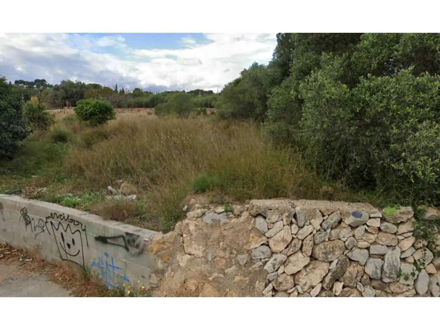 Terrain rustique à vendre à Camino B-del Llorito