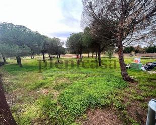 Land for sale in Cartaya