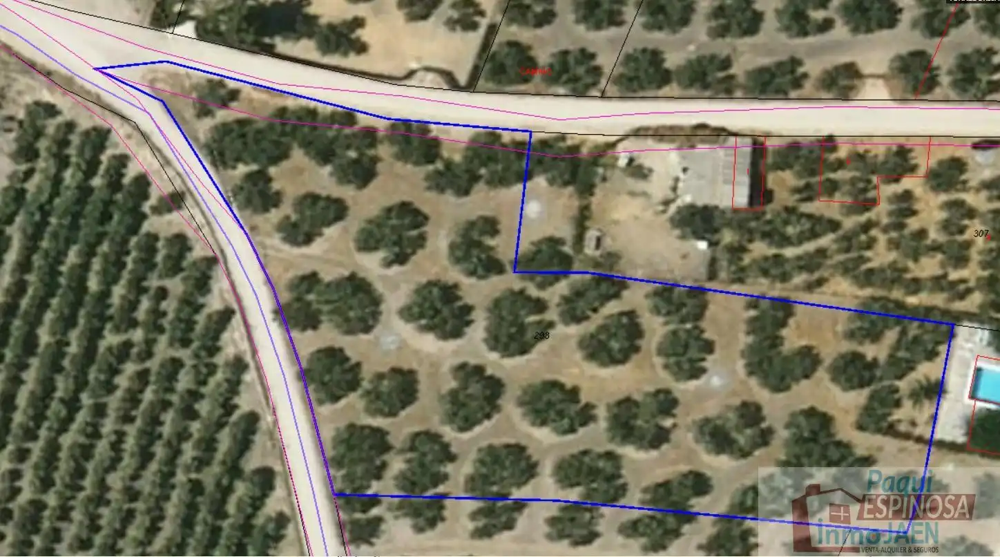 Lands and plots for sale in Torredonjimeno, imagen 4