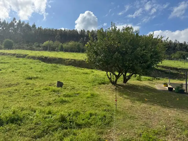 Residential land for sale in Castropol, imagen 5