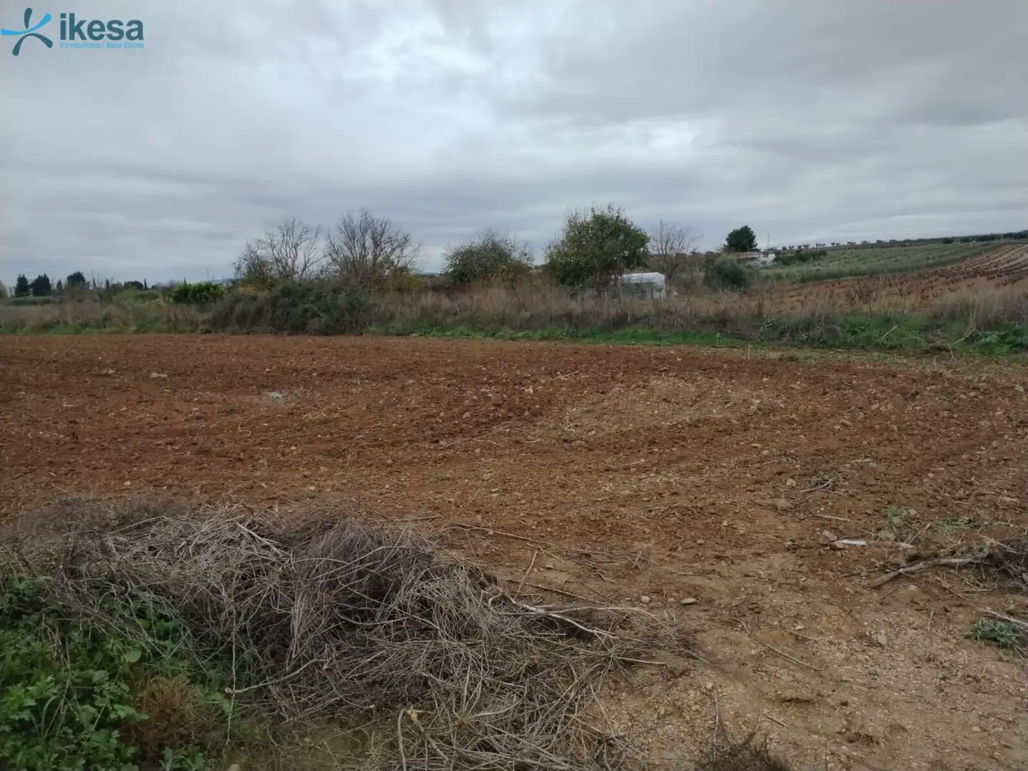 Terreni e lotti in vendita a Villalba de los Barros, imagen 2