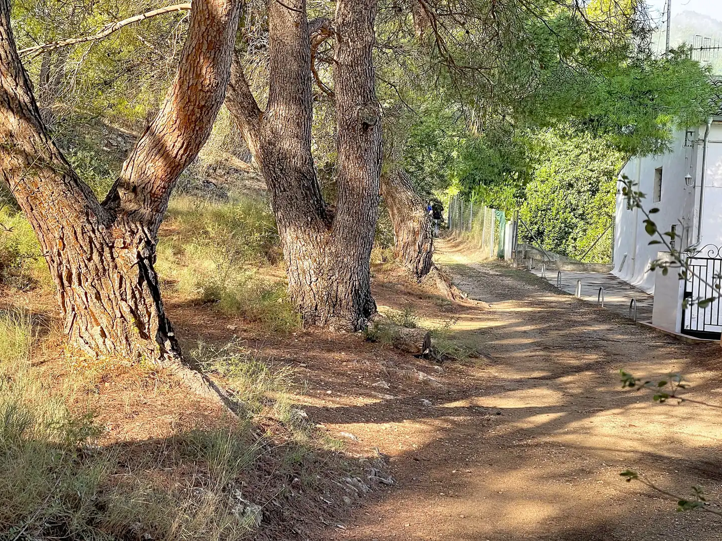 Wohnbaugrundstück zum Verkauf in Muro de Alcoy, imagen 14