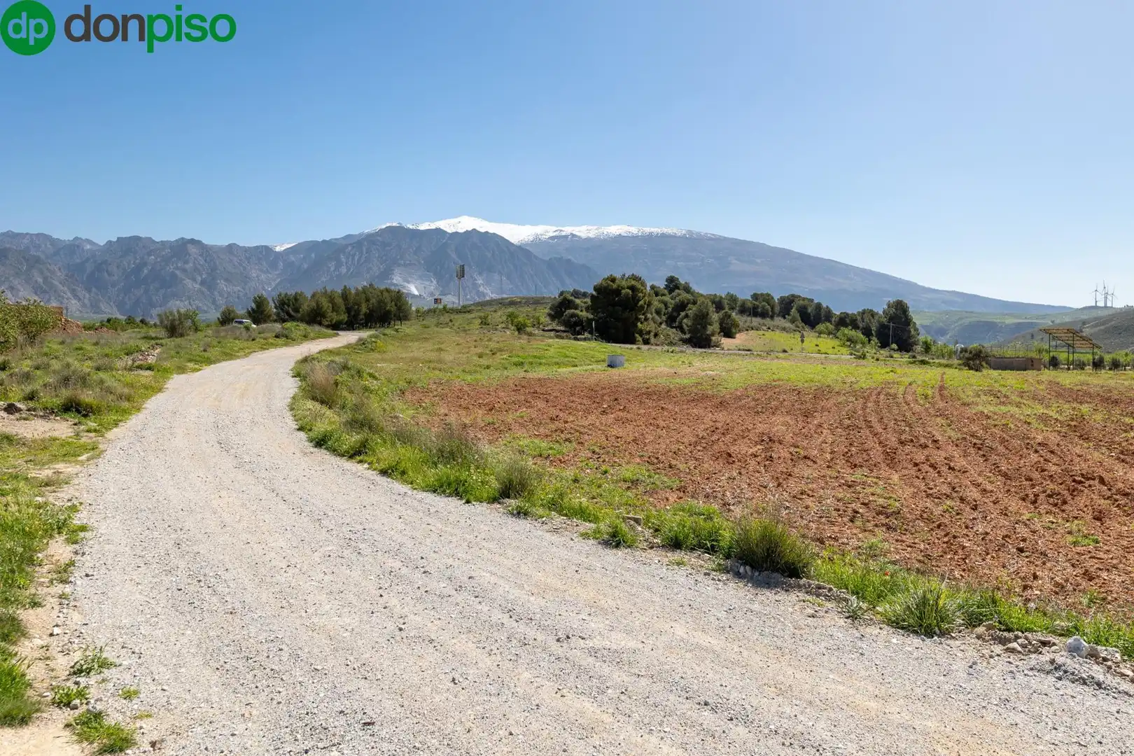 Terreny rústic en venda a tesoro de villamena, imagen 11