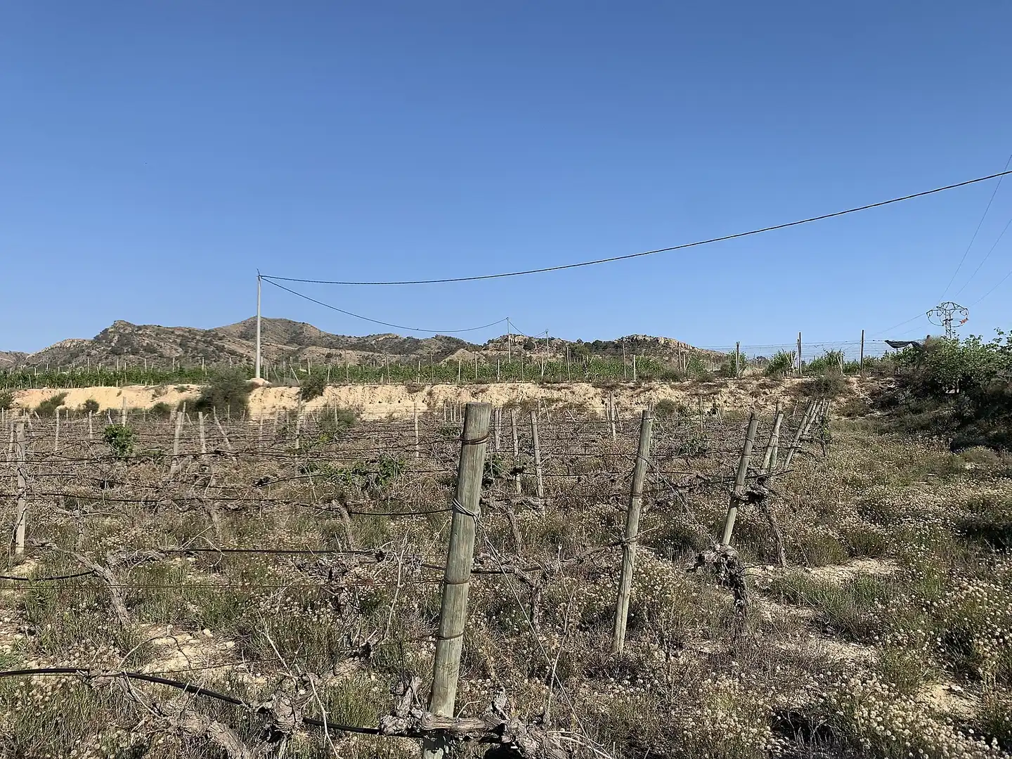 Terreno residencial en venta en Monforte del Cid, imagen 15