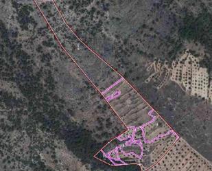 Land for sale in Yeste