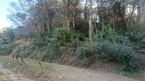 Foto 4 de Finca rústica en venta en B-231, 21, Nucli Urbà, Esparreguera