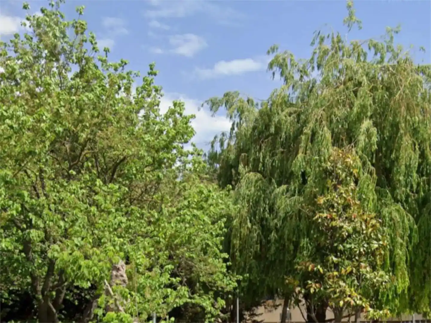 Jardí de Pis en venda en Centelles amb Balcó