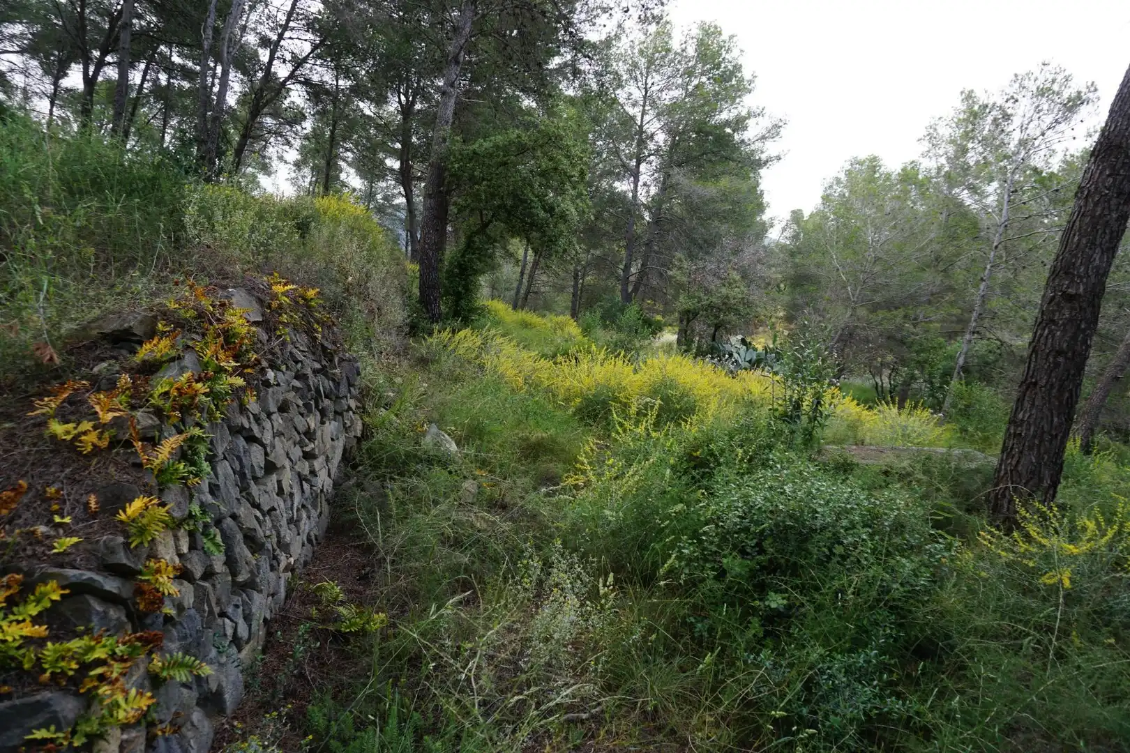 Terreno residenziale in vendita a Calle Ferreteries, imagen 12