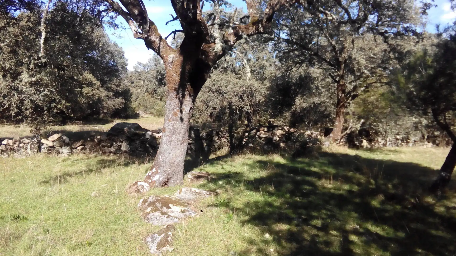 Terreni e lotti in vendita a Fresnedilla, imagen 5