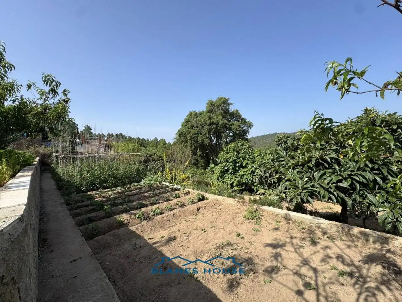Jardí de Casa o xalet en venda en Riudarenes amb Jardí privat i Terrassa