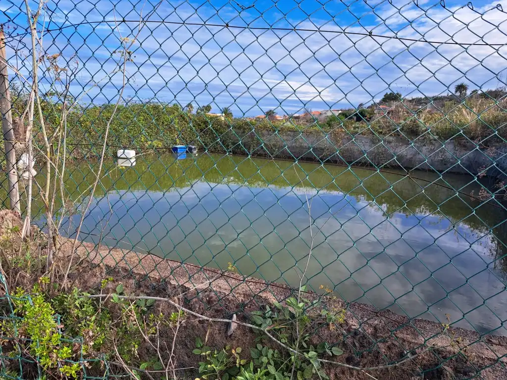 Rural land for sale in El Sauzal, imagen 38