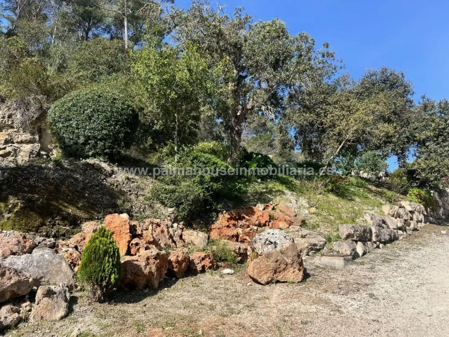 Country homes for rent in Sineu