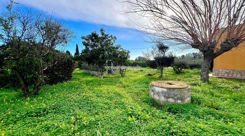 Foto 4 de Casa o xalet en venda a Partides comunes - Adsubia, Jávea / Xàbia