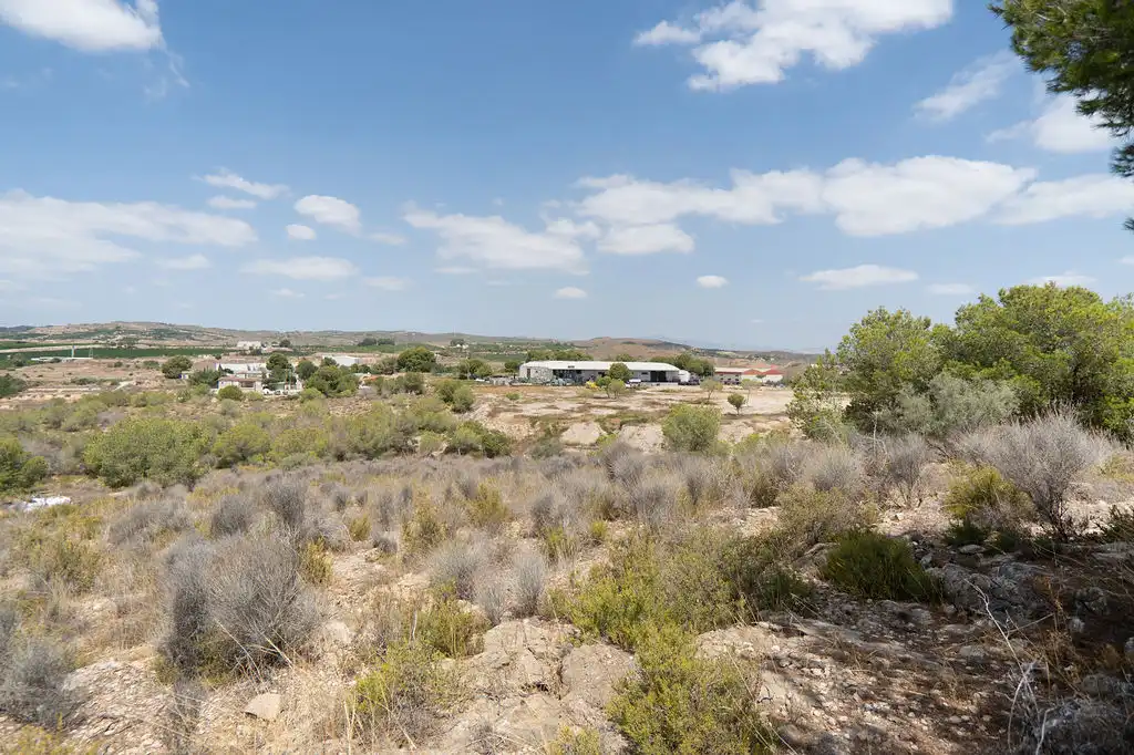 Office for sale in C/ Montecantalar, El Esparragal