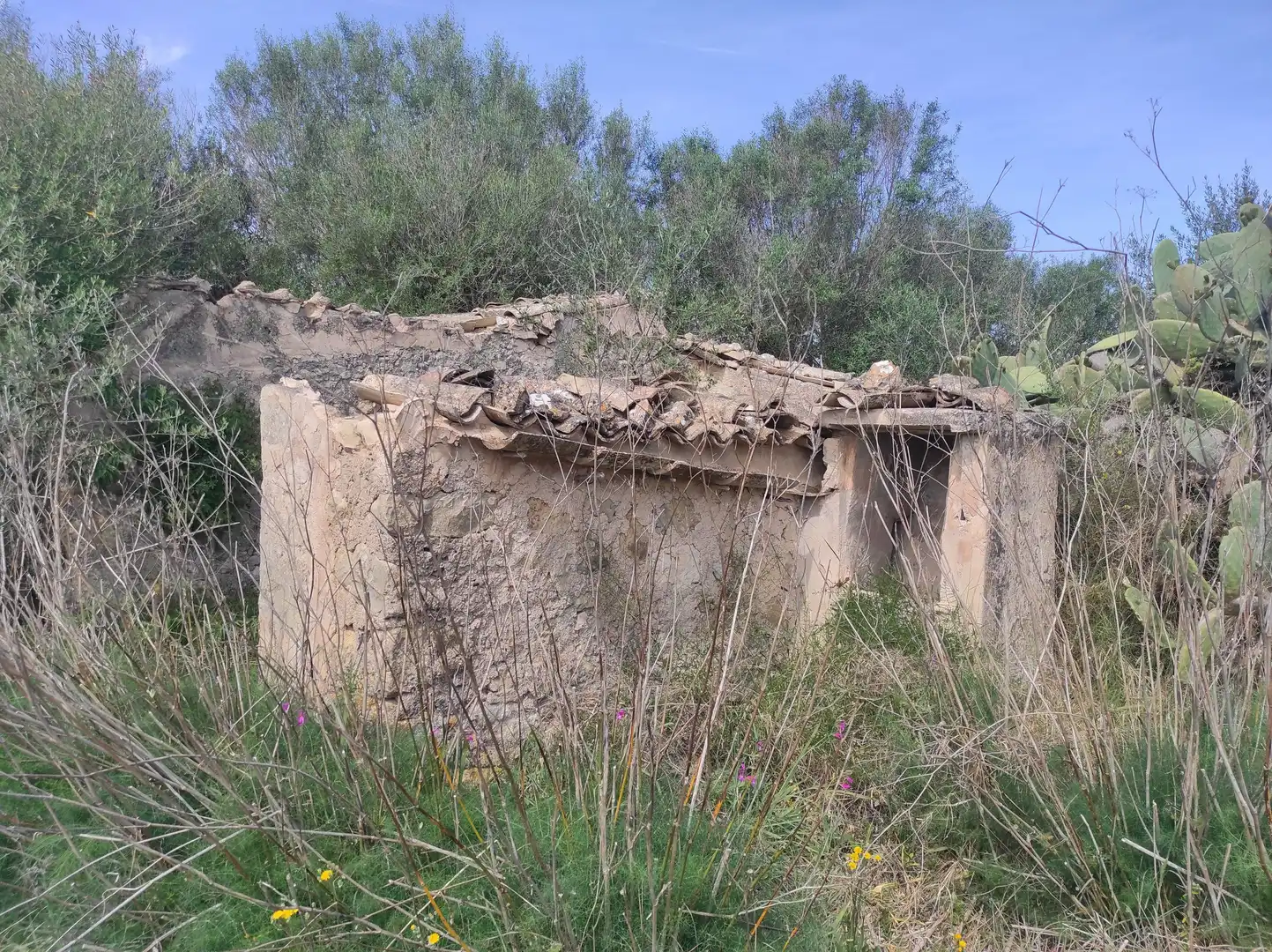 Casa rústica en venta en Sineu, imagen 2
