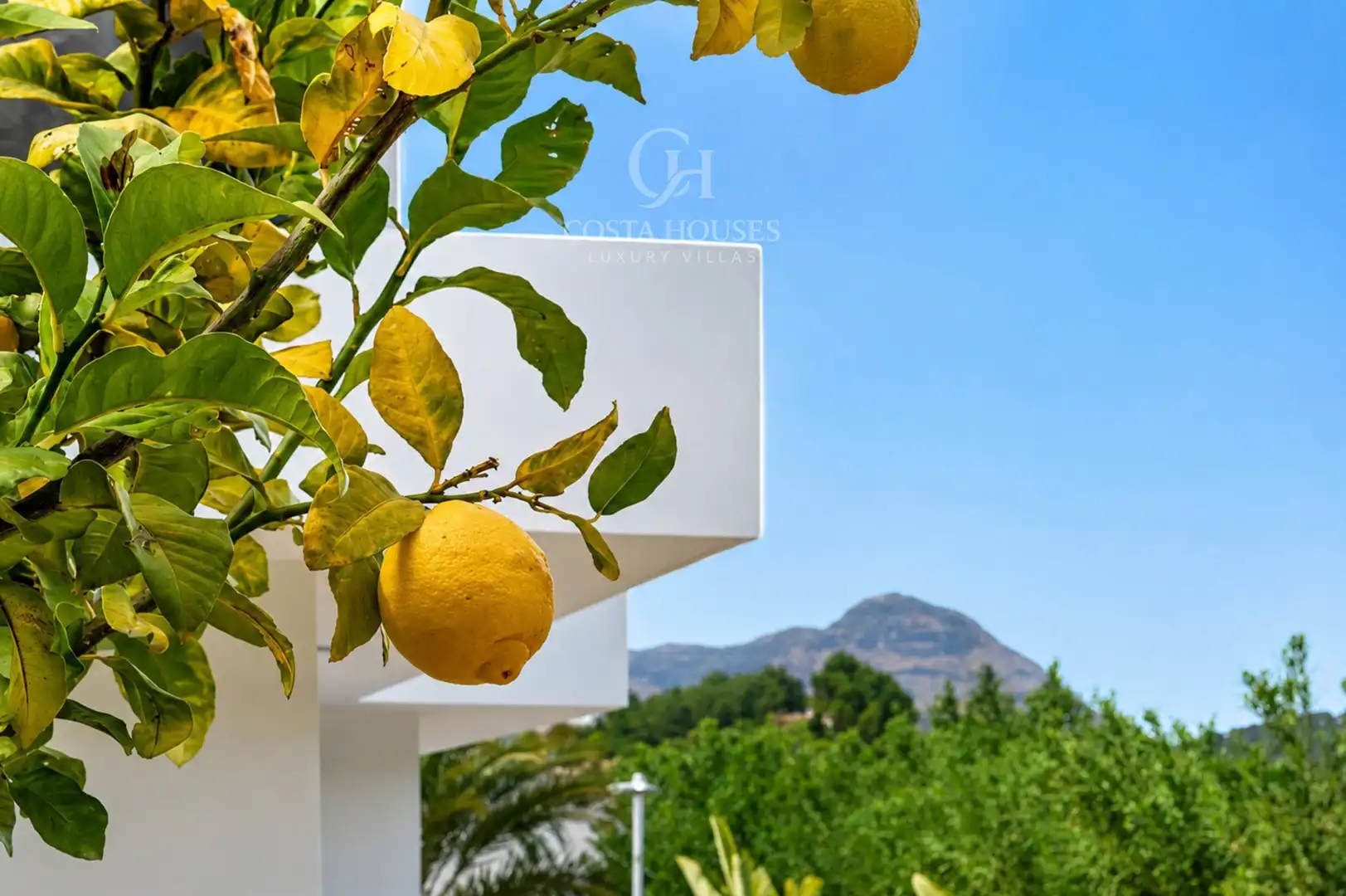 Chalet con piscina en venta en Cap Martí - El Tossalet - Pinomar, imagen 38