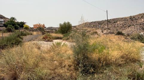 Foto 5 de Residencial en venda a Camino Canteras, Pedanías Este, Aspe