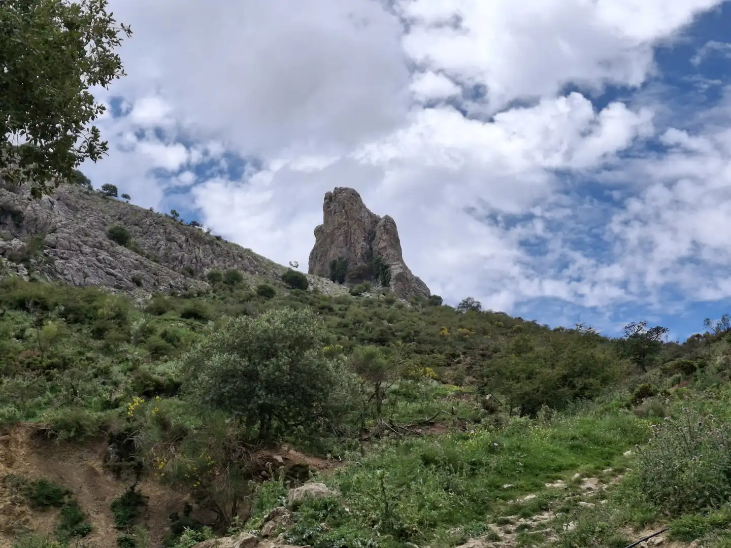 Terreni e lotti in vendita a Alfarnatejo, imagen 13