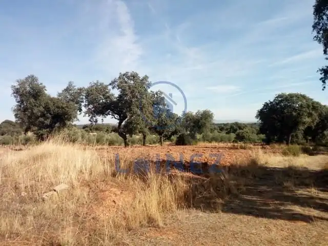 Terreny residencial en venda a Villanueva del Duque, imagen 10