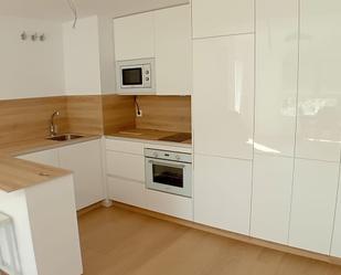 Kitchen of Flat to rent in Málaga Capital  with Air Conditioner and Terrace