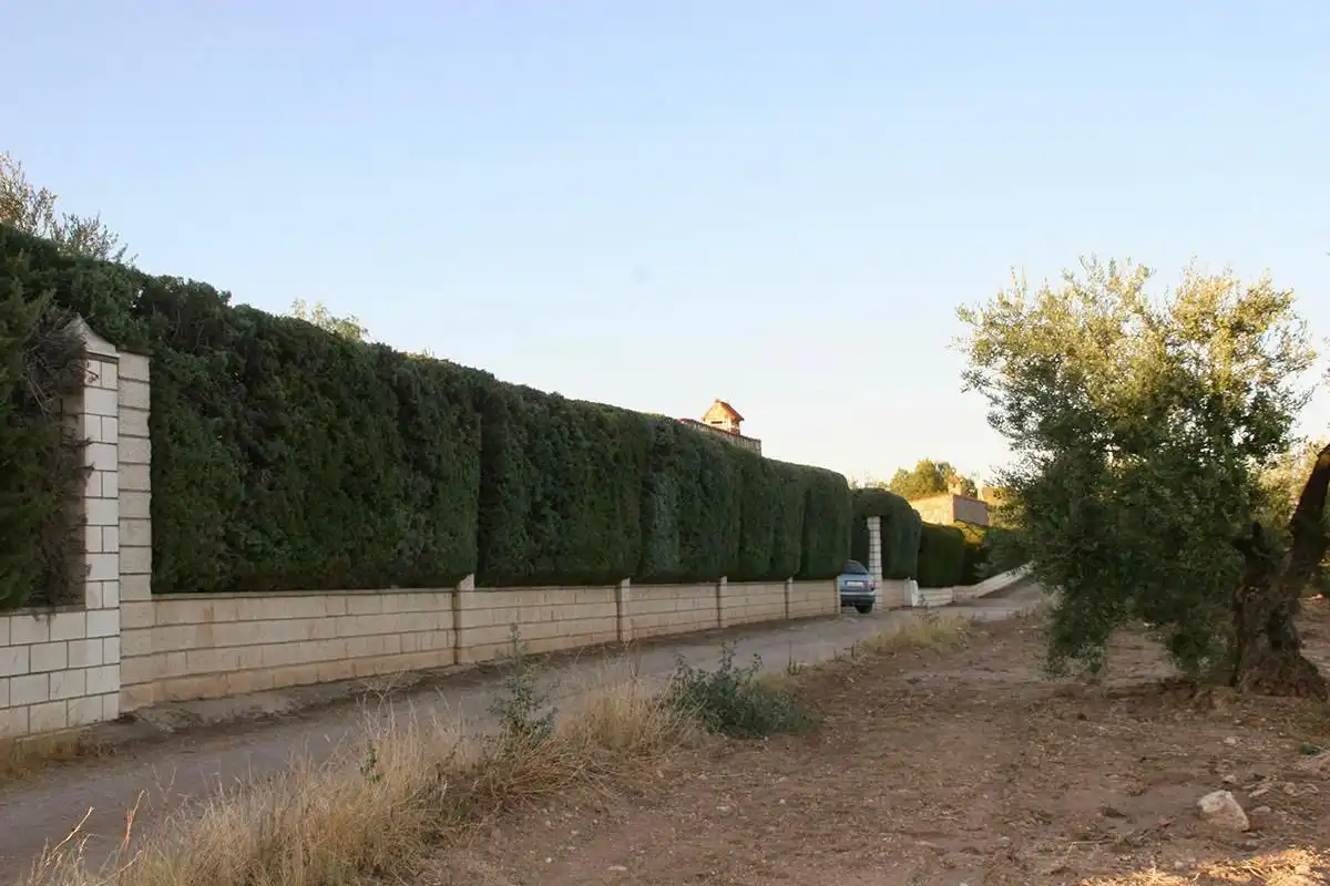 Xalet amb piscina en venda a Almendralejo, imagen 37