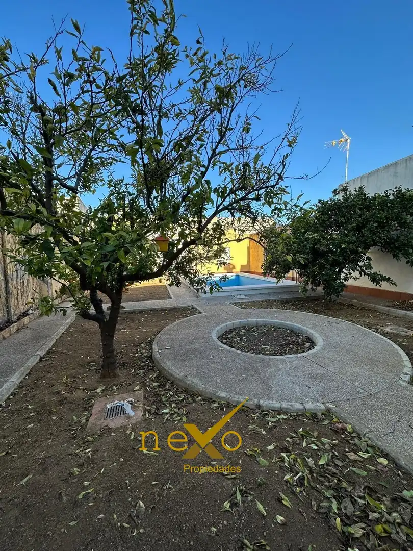Vista exterior de Casa o chalet en venta en Carmona con Jardín privado y Piscina