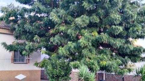 Photo 5 of House or chalet for sale in El Higuerón, Córdoba