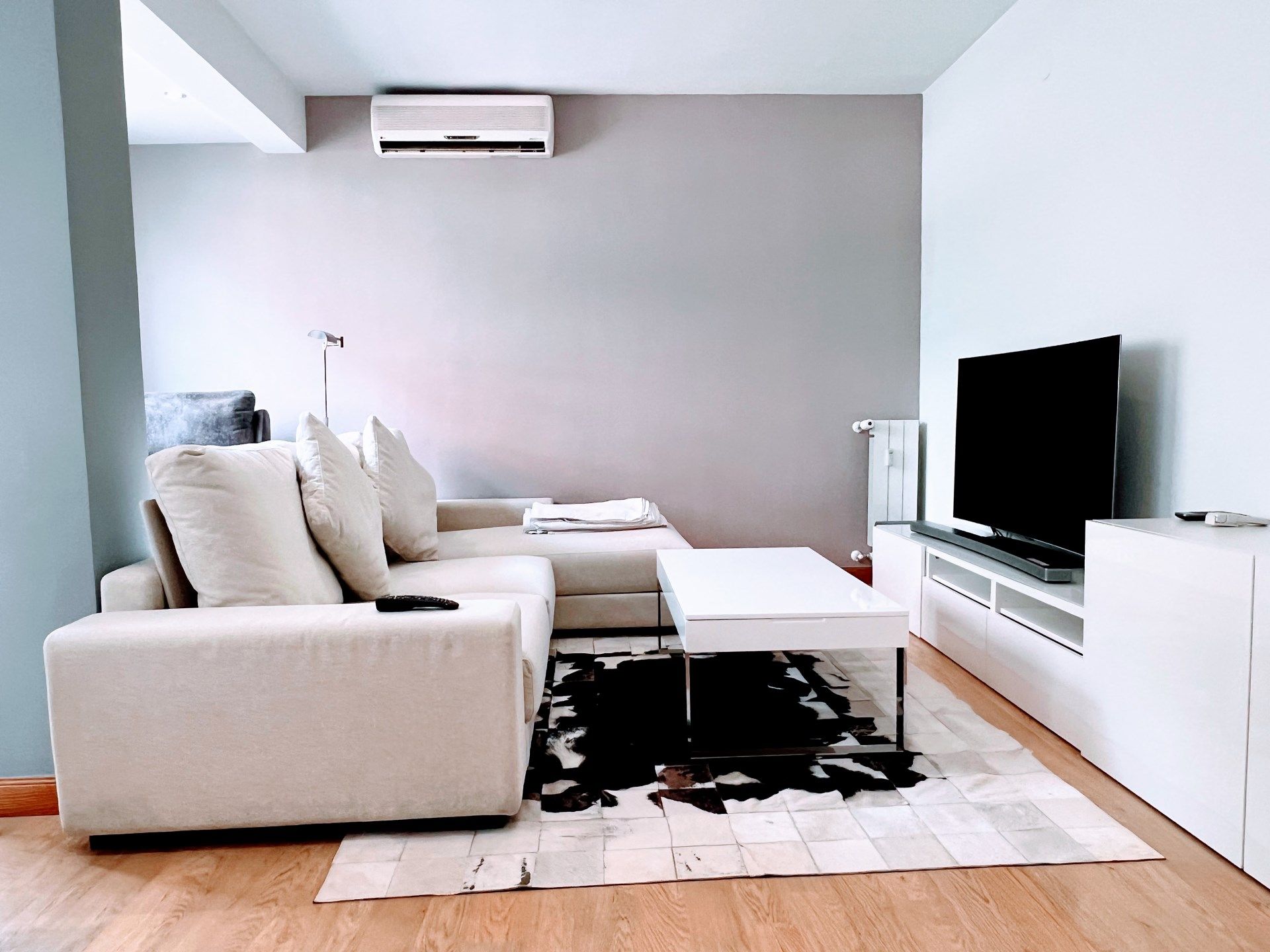 Living room of Flat to rent in  Madrid Capital  with Air Conditioner, Heating and Furnished